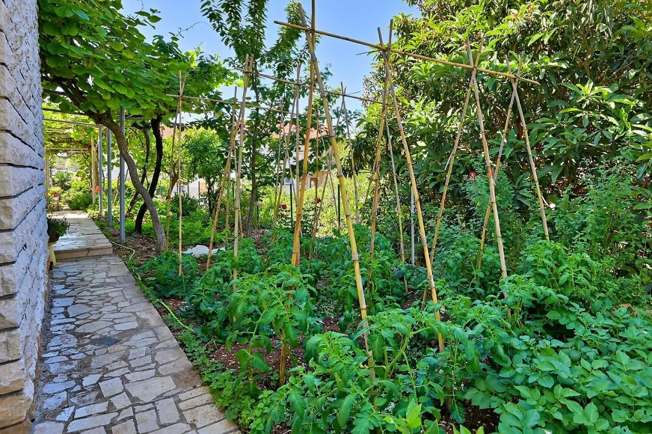 Apartments Marija Pula Croatia